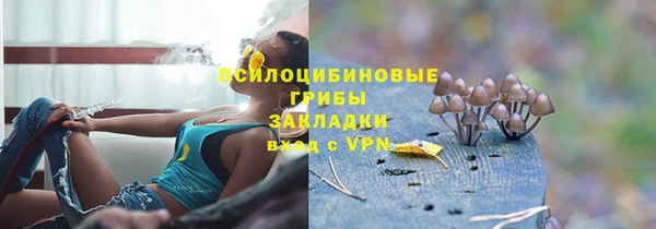 соль курить ск Алзамай
