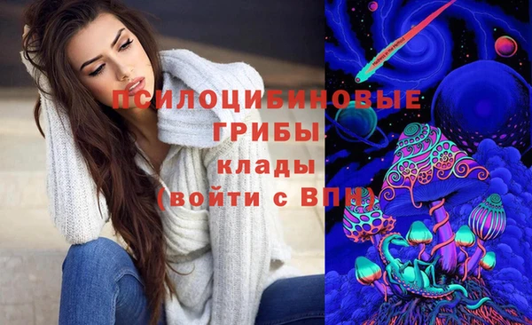 метадон Алексин