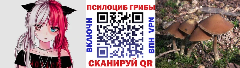 ссылка на мегу ТОР  наркотики  Джанкой  Галлюциногенные грибы ЛСД 